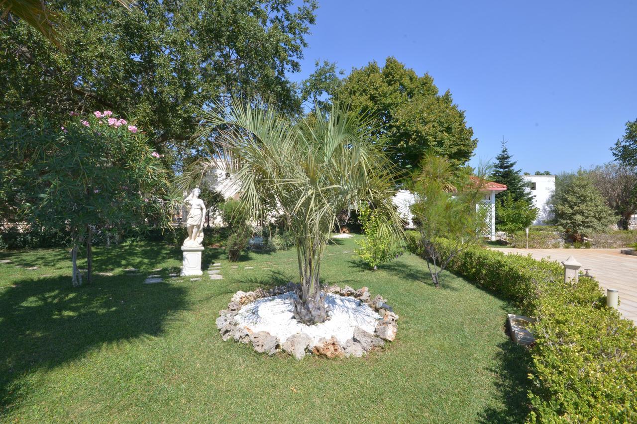 Villa Petra Chiara Locorotondo Bagian luar foto